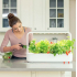 „Click & Grow The Smart Garden 9“ — умный сад