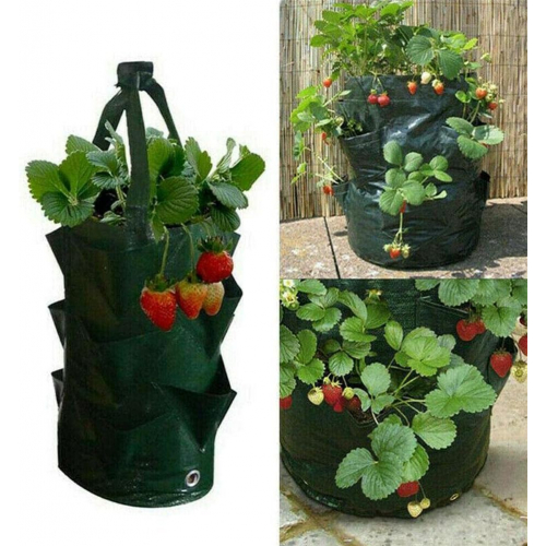 Горшок для растений объемом 3 галлона с ручками, дышащий, для внутренней и наружной посадки, зеленый