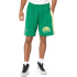 Мужские шорты Mitchell & Ness NBA Swingman Seattle Supersonics 