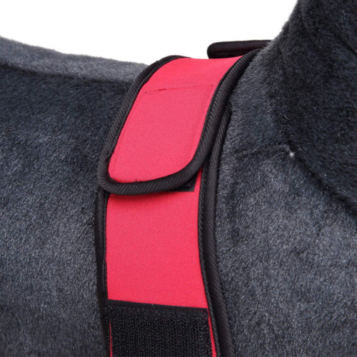 Alfie Pet — фиксаторы на передние лапы собаки