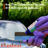 Flashtai Glass Coating — долговечное керамическое покрытие для стёкол автомобиля