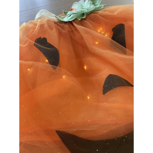 Pottery Barn Детский костюм с подсветкой тыквы