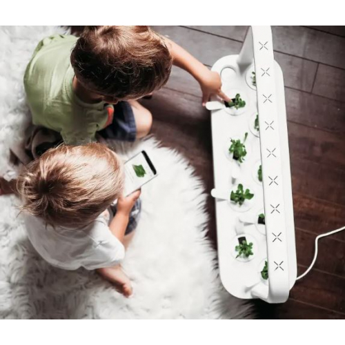 „Click & Grow The Smart Garden 9“ — умный сад