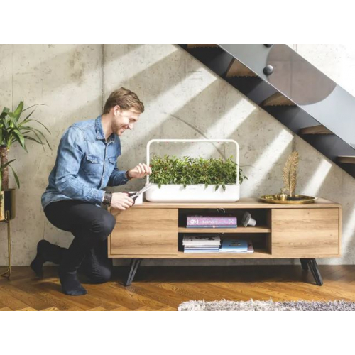 „Click & Grow The Smart Garden 9“ — умный сад