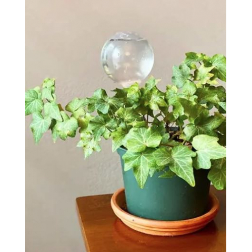 Автоматическая поилка для растений