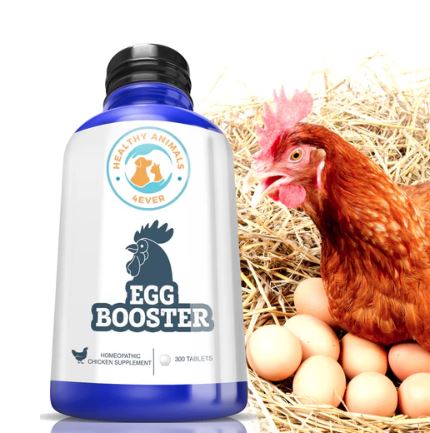 Силицея помогает курицам с проблемами яйцекладки, особенно при слишком тонкой или мягкой скорлупе, а также при застревании яйца. 300таблеток