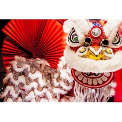 Фон для фотосъемки Leyiyi