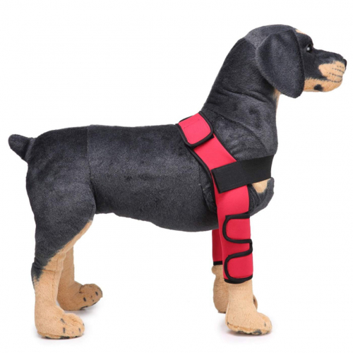 Alfie Pet — фиксаторы на передние лапы собаки