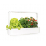 „Click & Grow The Smart Garden 9“ — умный сад