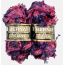 Нитки Bernat boa, 50g / 65m, фиолето-ворозовый