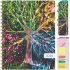 Планер 2024 с твердым переплетом "Black Tree Seasons", А4