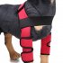 Alfie Pet — фиксаторы на передние лапы собаки